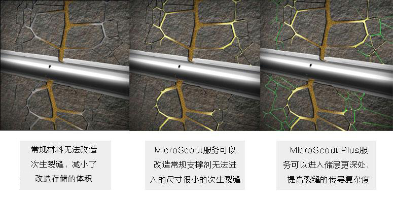 01f8aaf9-2ca3-49aa-8eaa-a25077866f90_1749086803120974138_origin~tplv-a9rns2rl98-image-qvalue.jpg