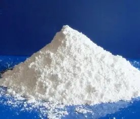 OIP-C (2).jpg